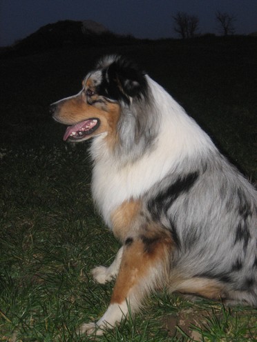 Blizzard in dakota des Yeux de Crystal