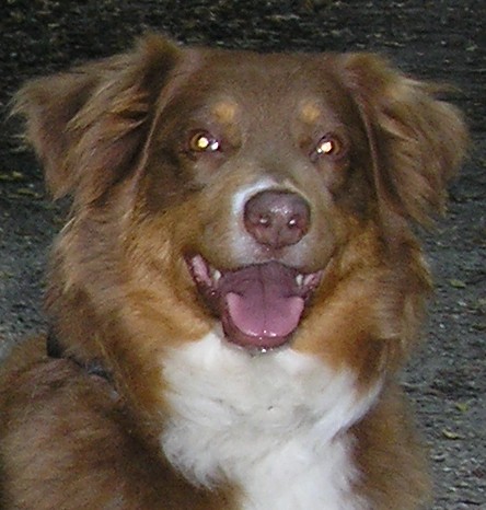 Publication : des Yeux de Crystal