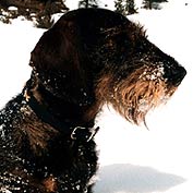 Publication : de la ferme du Gouy