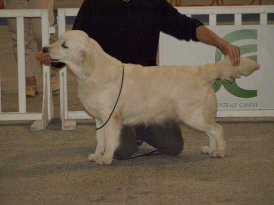 Dites moi tout des jardins d'Epona - Meilleure jeune