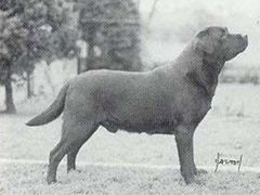 Publication : des Bords de L'Ysieux