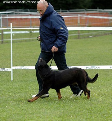 Publication : Des alexines Auteur : Elevage des Alexines