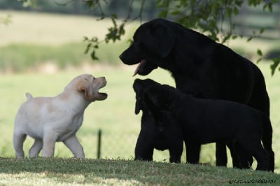 des Ganches de la Loire