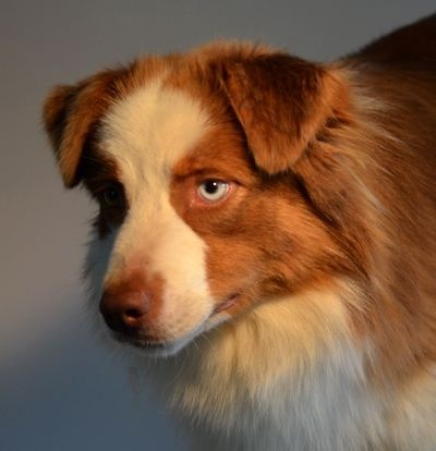 Hope and your eyes du Chemin de la Lune aux Reves