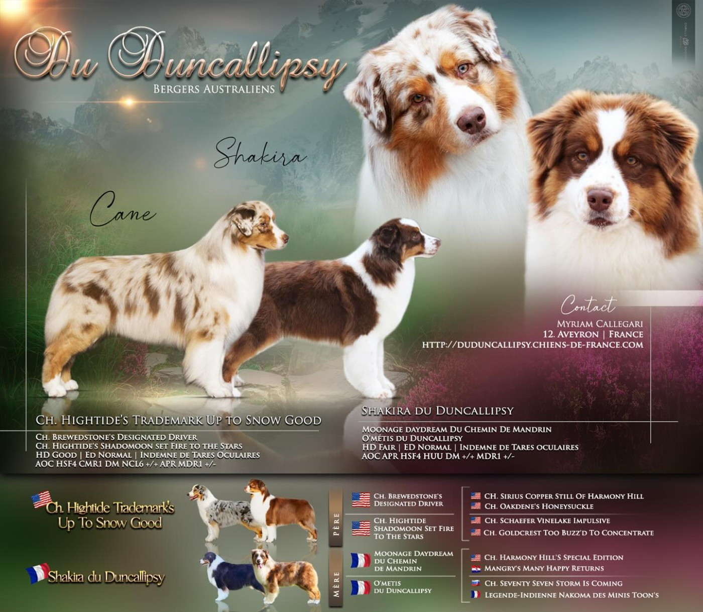 A Minor Groove du Duncallipsy