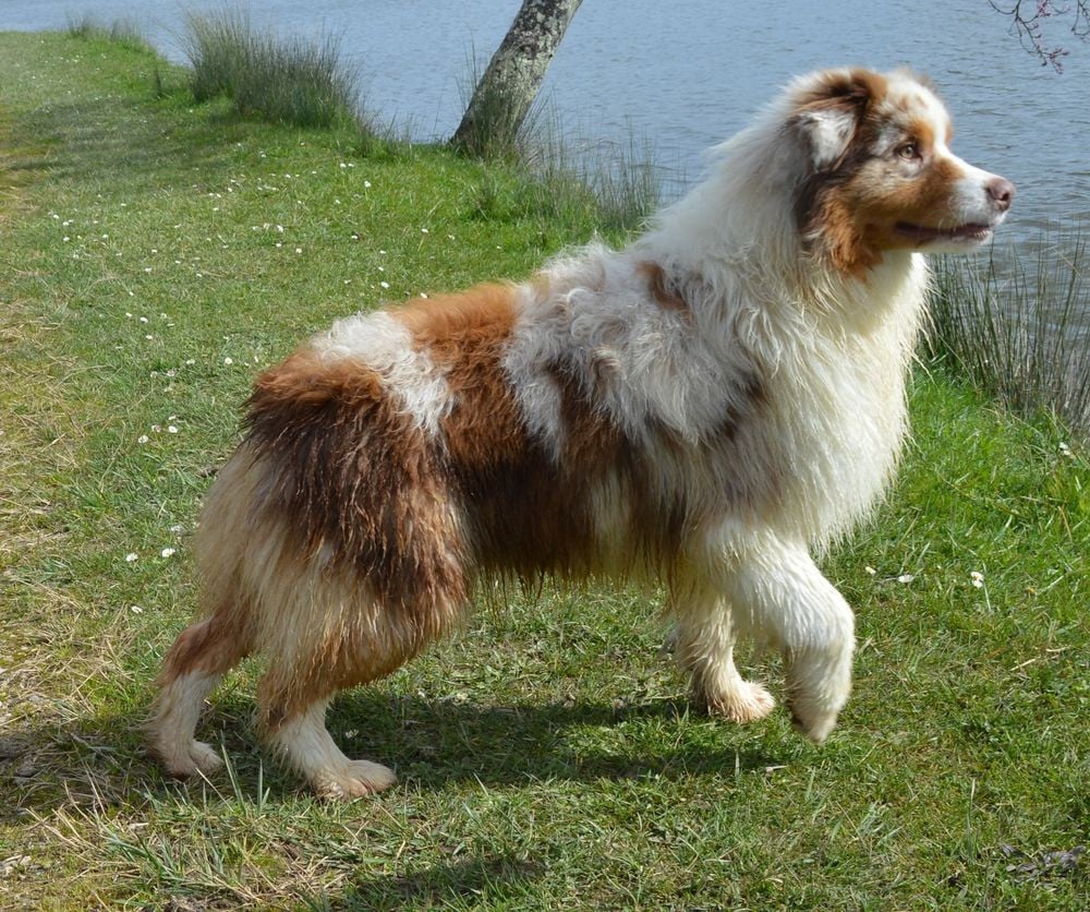 A Minor Groove du Duncallipsy