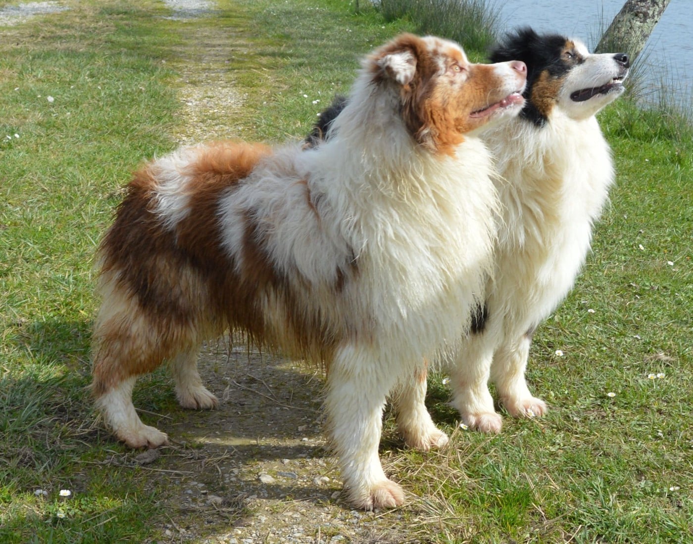 A Minor Groove du Duncallipsy