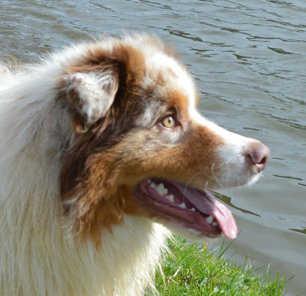 A Minor Groove du Duncallipsy