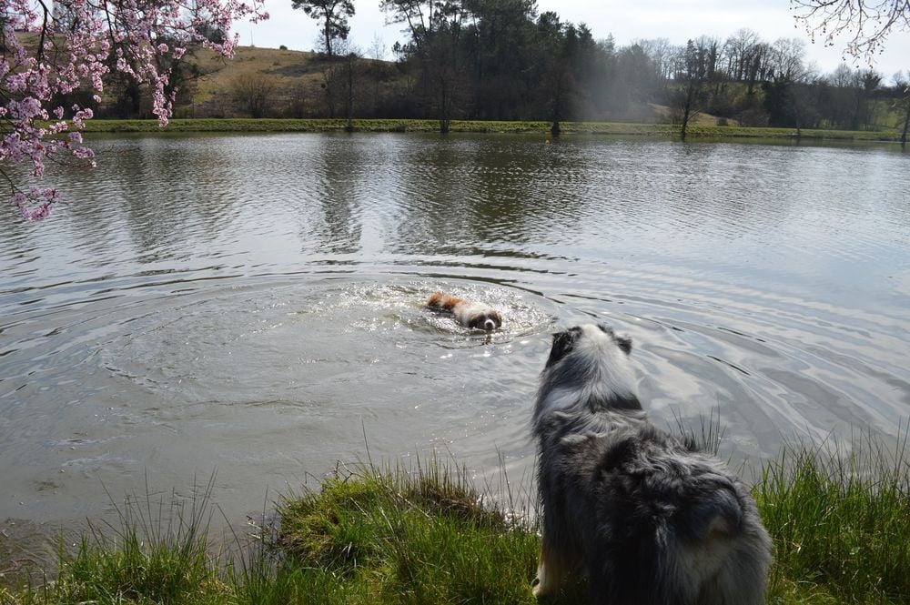 A Minor Groove du Duncallipsy