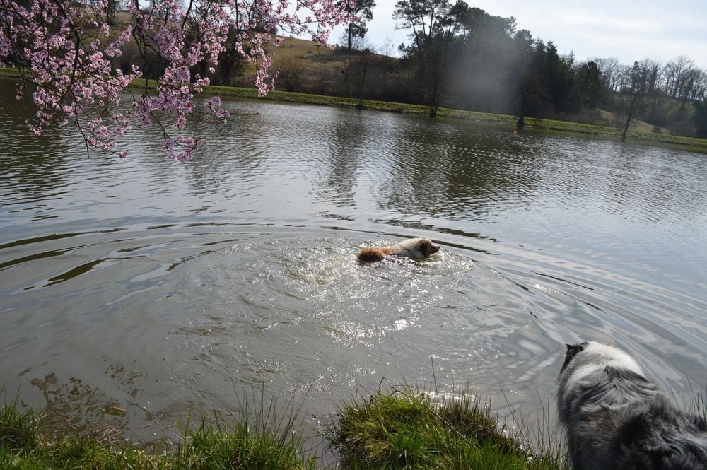 A Minor Groove du Duncallipsy