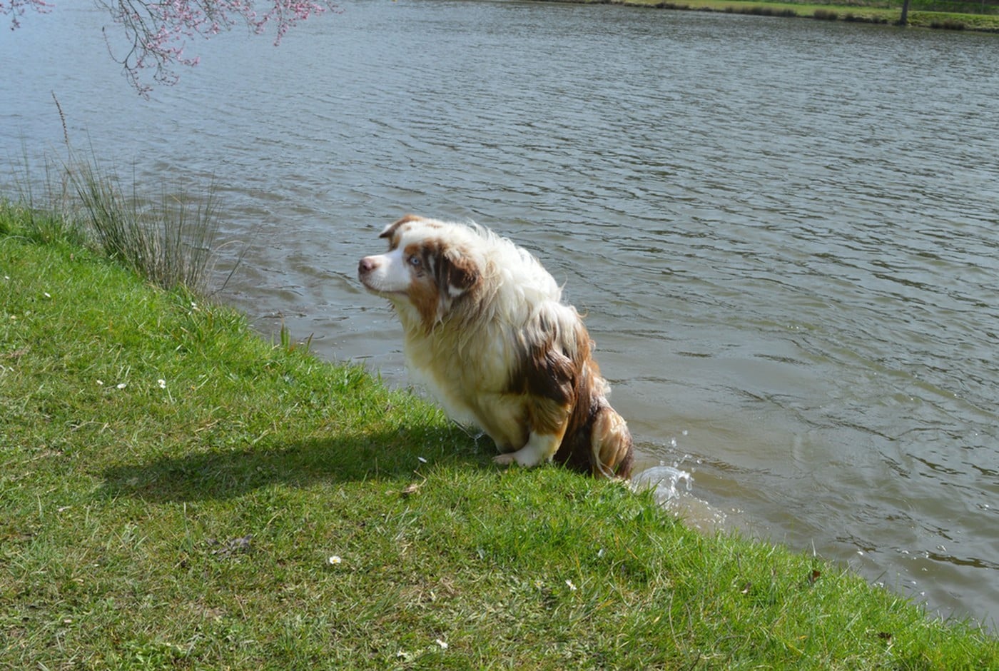 A Minor Groove du Duncallipsy