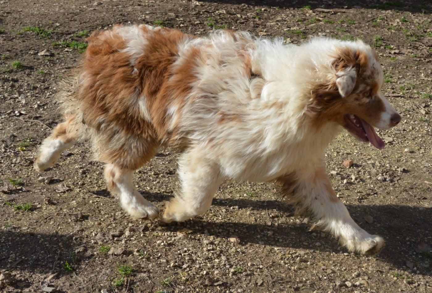 A Minor Groove du Duncallipsy