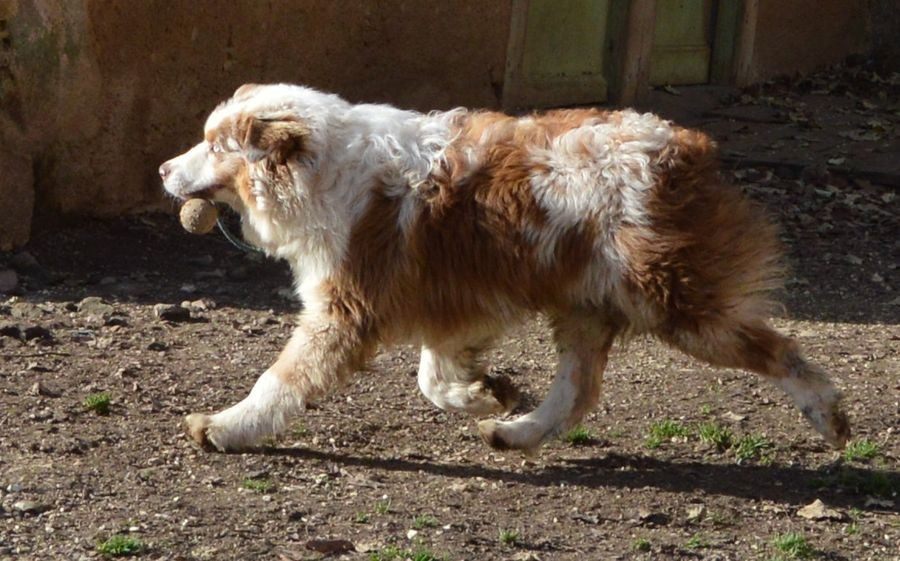 A Minor Groove du Duncallipsy