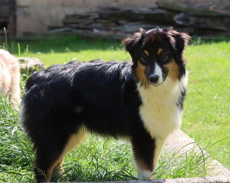 Taratata black song du Chemin de la Lune aux Reves