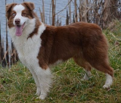 Hope and your eyes du Chemin de la Lune aux Reves