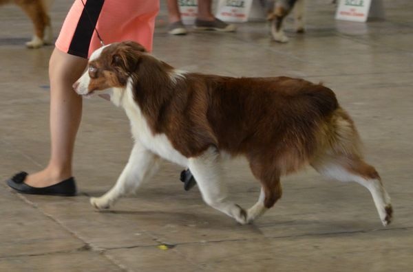 Hope and your eyes du Chemin de la Lune aux Reves