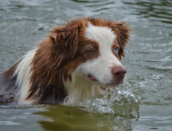 Hope and your eyes du Chemin de la Lune aux Reves
