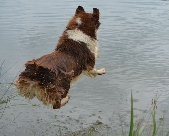 Hope and your eyes du Chemin de la Lune aux Reves