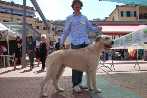 Publication : de la pierre oiseau