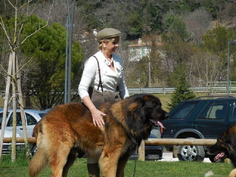 Fohan de la pierre oiseau