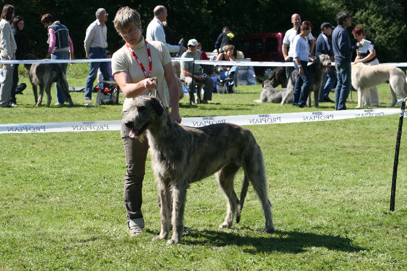 Ceridwen de la pierre oiseau
