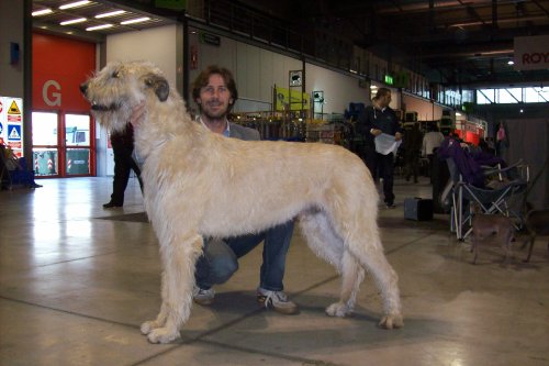 Publication : de la pierre oiseau