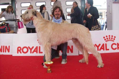 Publication : de la pierre oiseau