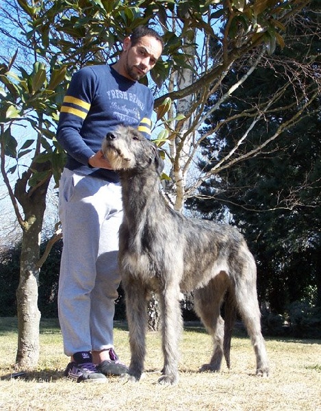 CH. Faelyn de la pierre oiseau - CAC