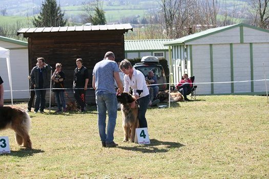 Filomene de la pierre oiseau - 4 EME en COF