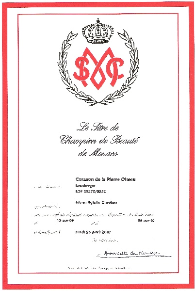 CH. Corazon de la pierre oiseau - CACIB/MEILLEUR DE RACE