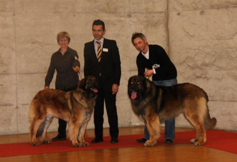 CH. Corazon de la pierre oiseau - BOB