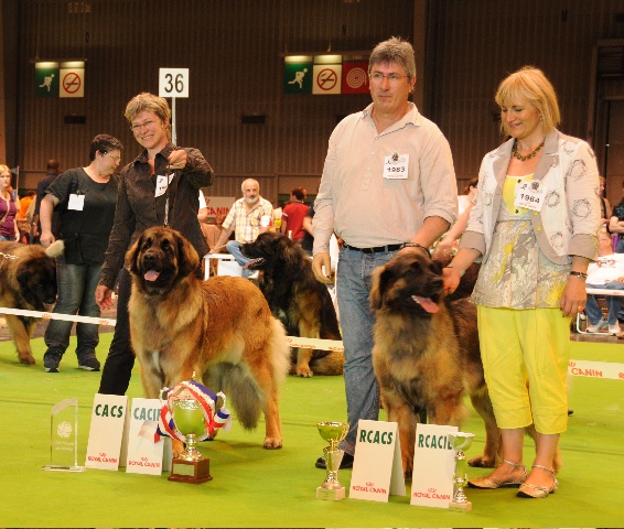 CH. Corazon de la pierre oiseau - CACIB MEILLEUR FEMELLE