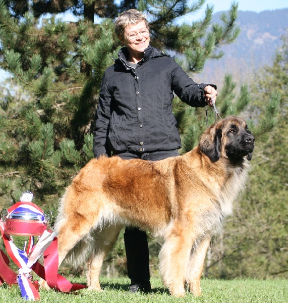CH. Corazon de la pierre oiseau - BEST IN SHOW