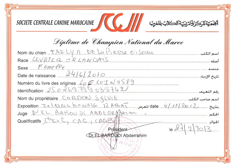 CH. Faelyn de la pierre oiseau - 1 ER EXCELLENT/CAC/CACIB