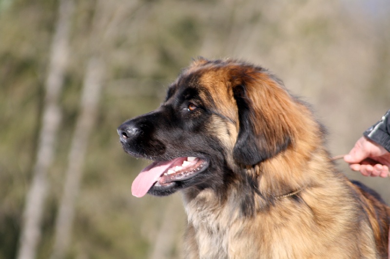 Filomene de la pierre oiseau - 1 ERE EXC classe jeune