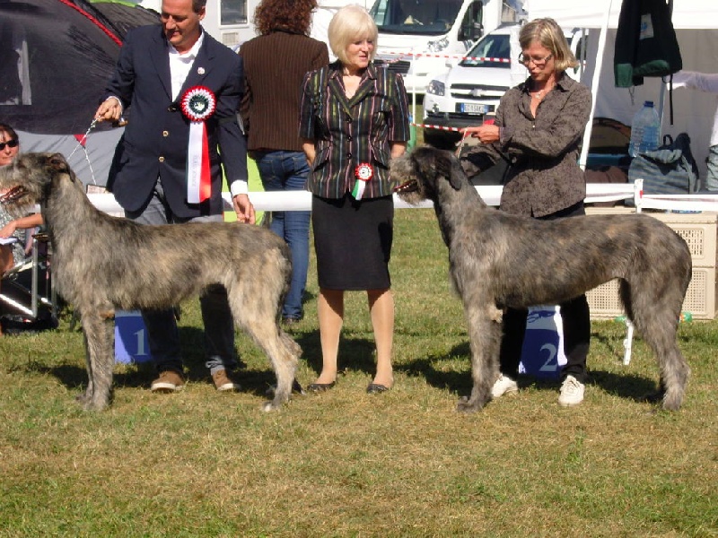 CH. Faelyn de la pierre oiseau - 2 EME EN CLASSE JEUNE