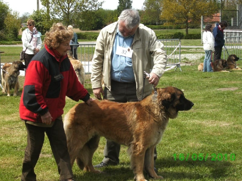 Publication : du violon d'or