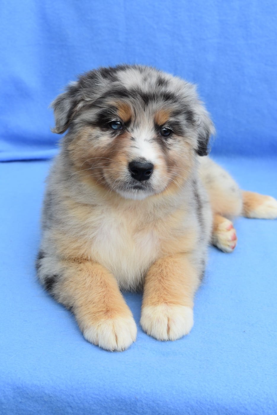 BETWEEN LIE OF THE TRUTH "Katell" de l'elixir d'amour