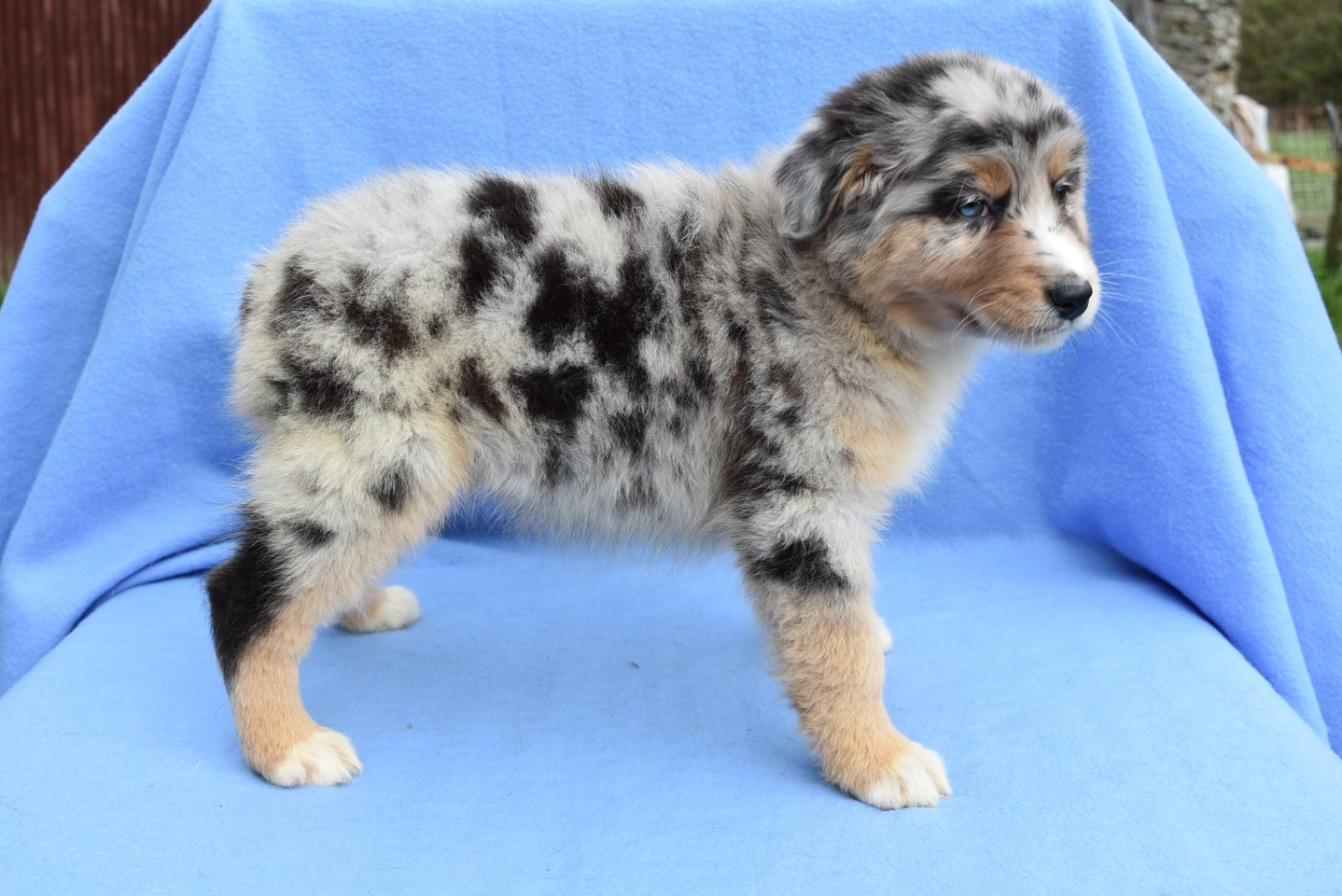 BETWEEN LIE OF THE TRUTH "Katell" de l'elixir d'amour