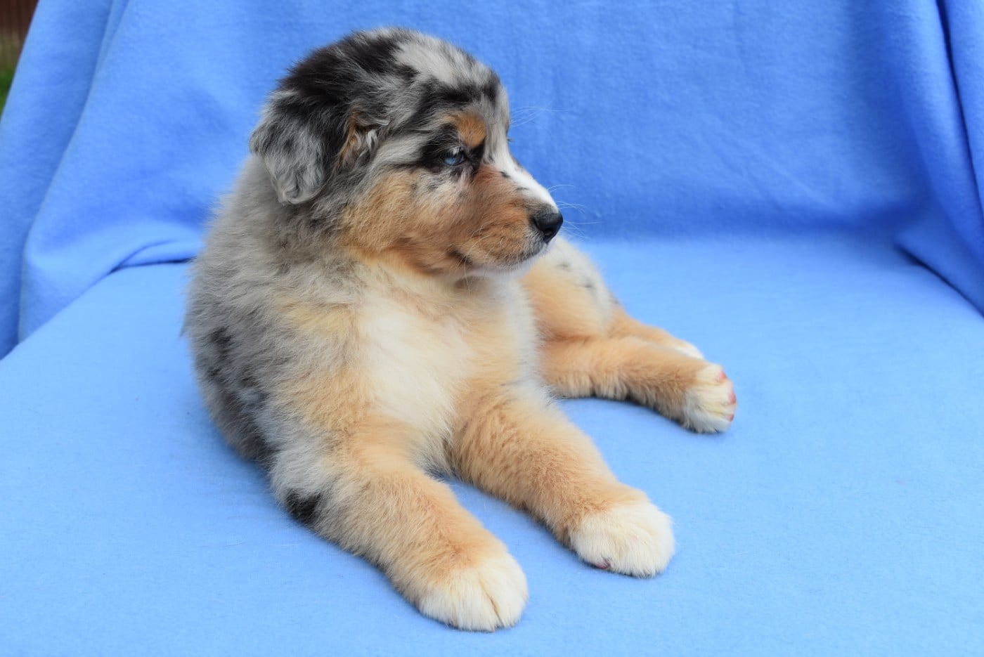 BETWEEN LIE OF THE TRUTH "Katell" de l'elixir d'amour