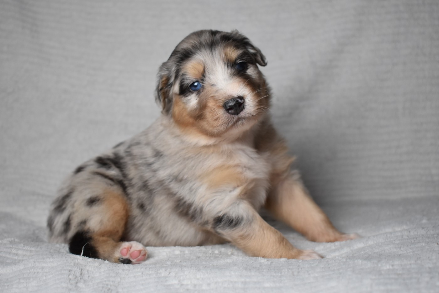 BETWEEN LIE OF THE TRUTH "Katell" de l'elixir d'amour