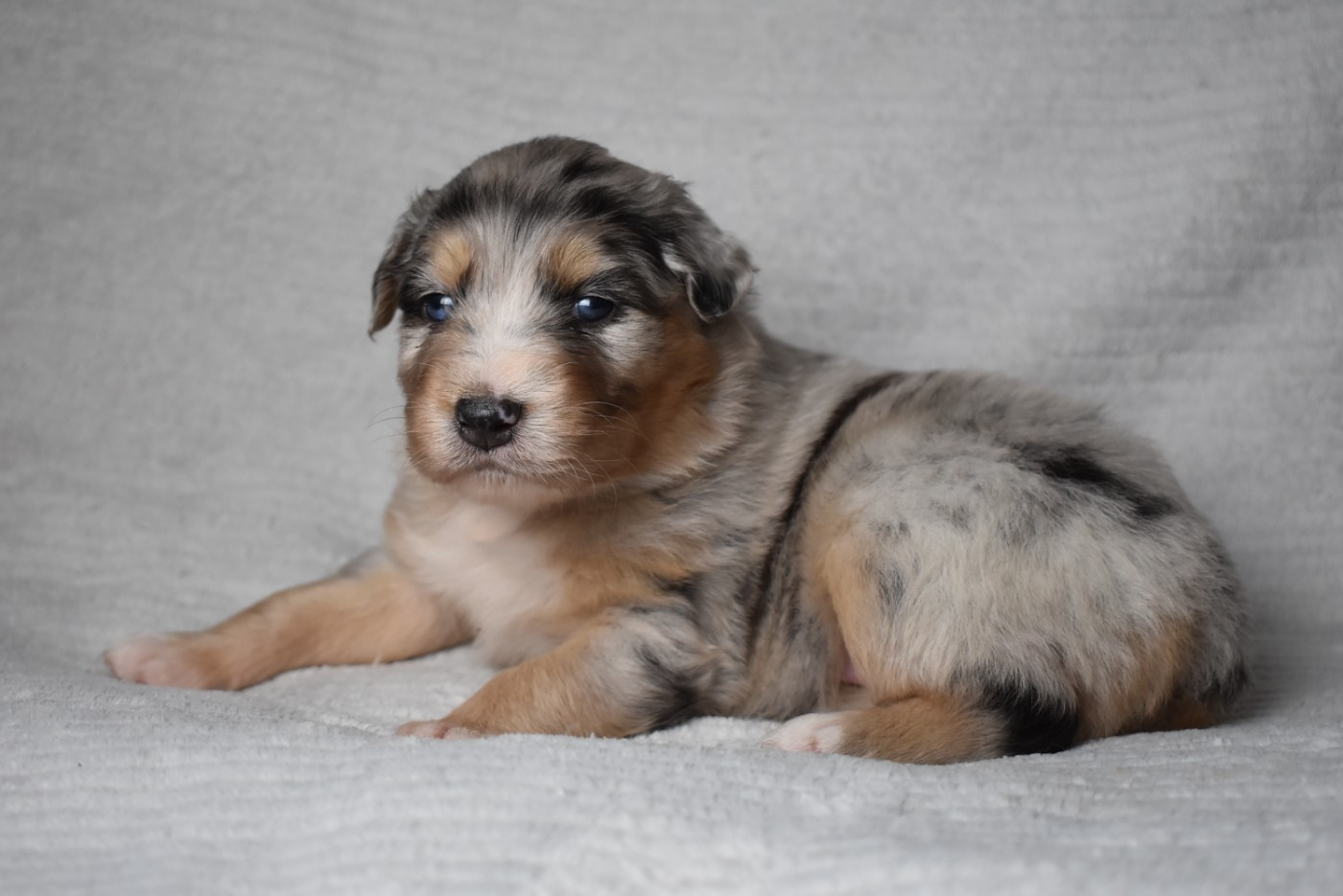 BETWEEN LIE OF THE TRUTH "Katell" de l'elixir d'amour