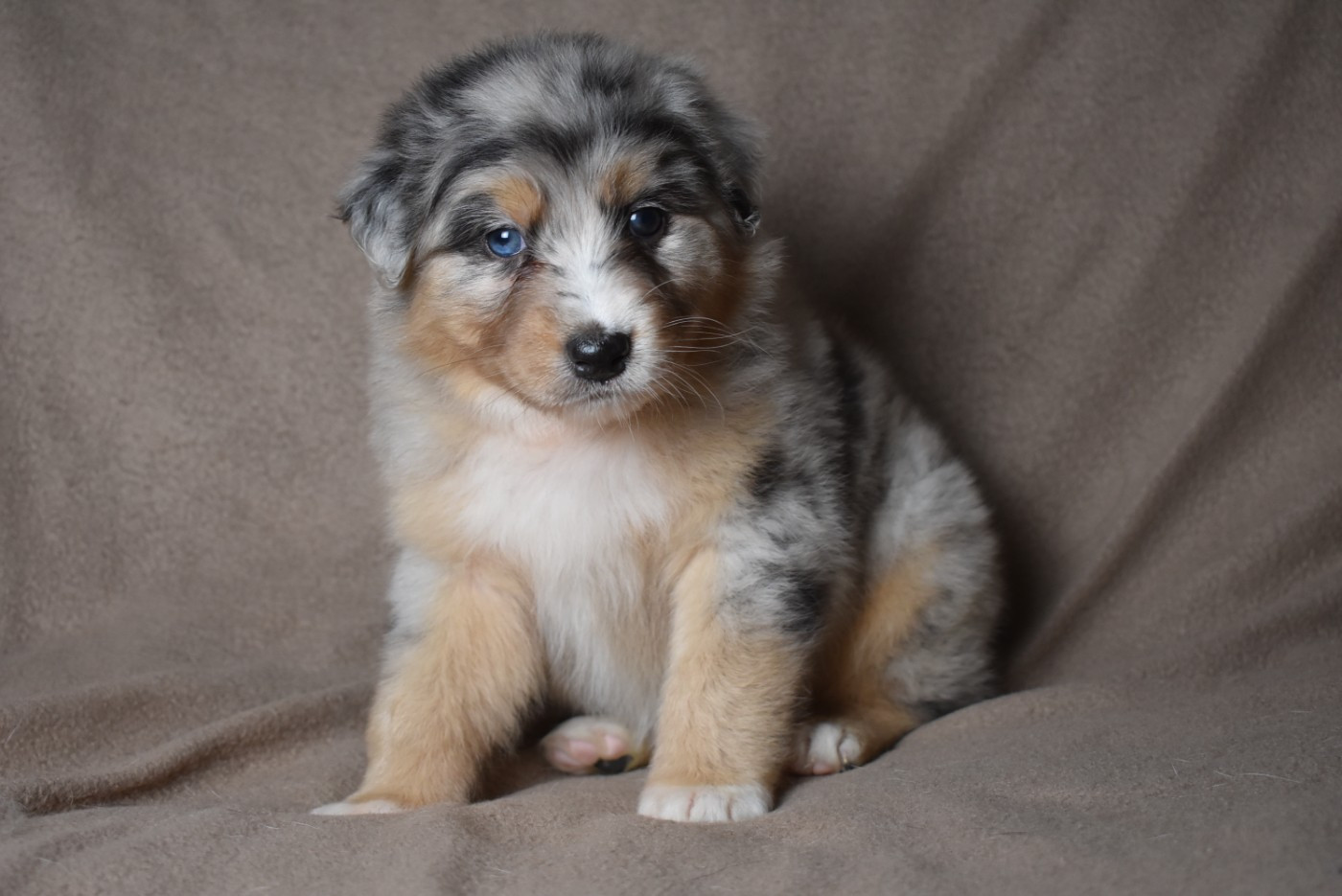 BETWEEN LIE OF THE TRUTH "Katell" de l'elixir d'amour