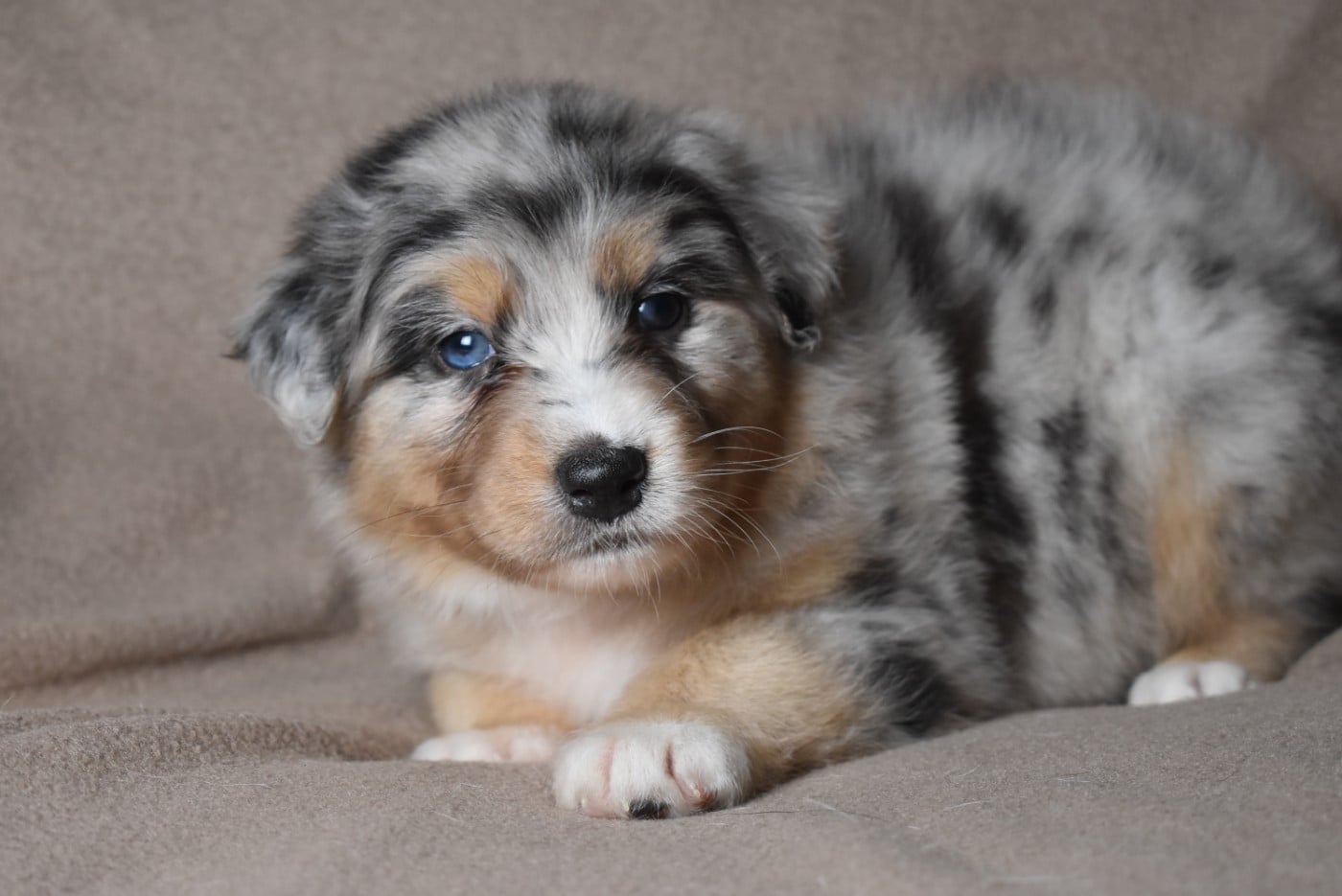 BETWEEN LIE OF THE TRUTH "Katell" de l'elixir d'amour