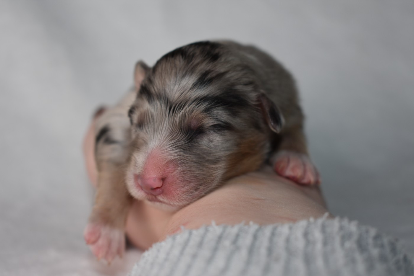 BETWEEN LIE OF THE TRUTH "Katell" de l'elixir d'amour