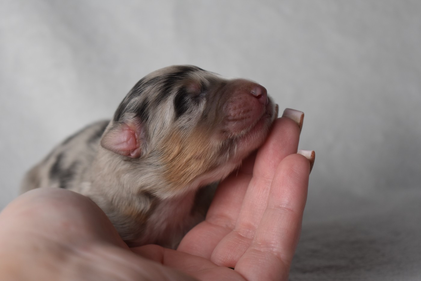 BETWEEN BEAUTY OF THE TRUTH "Katell"