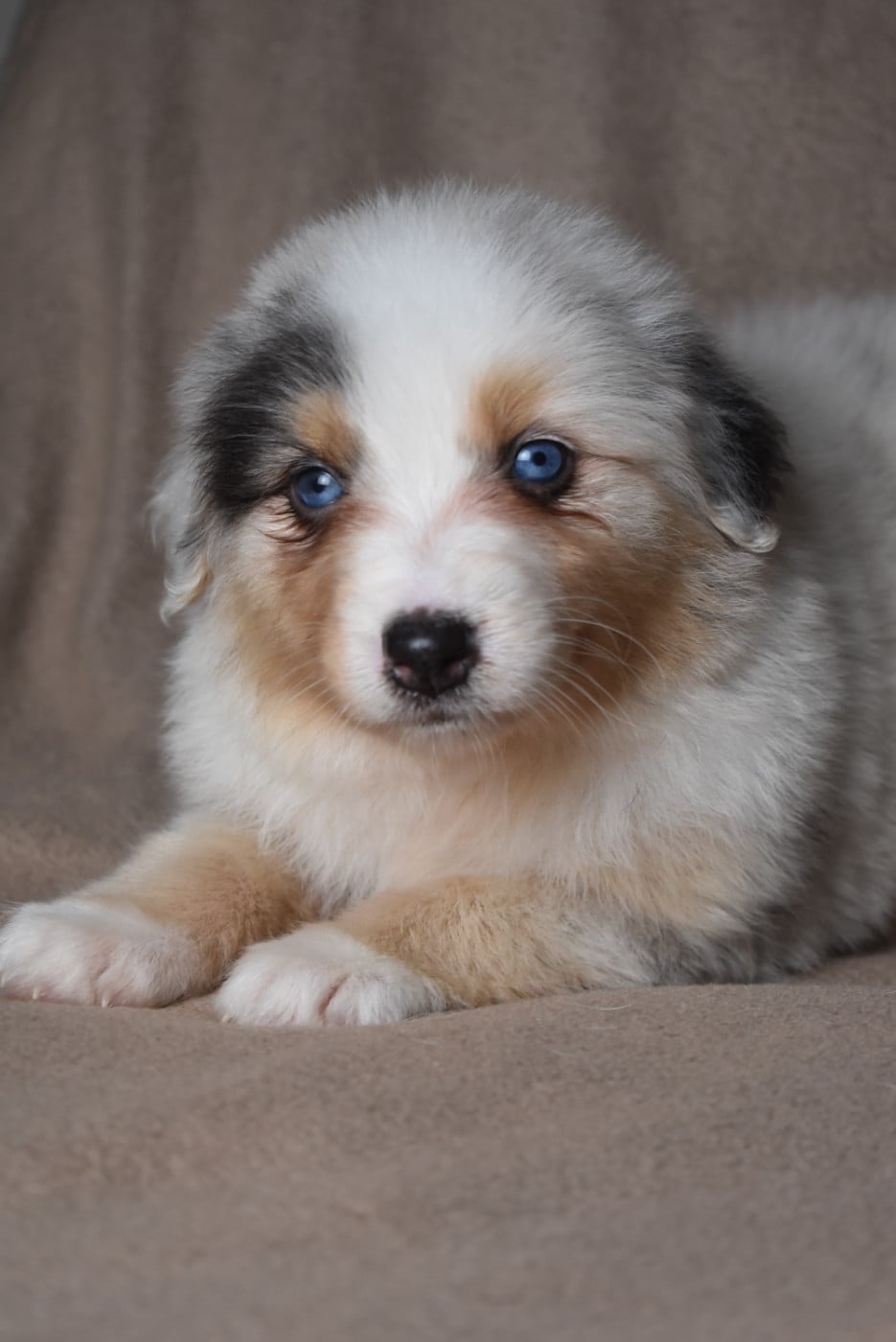 BERTILLE (nom provisoire)