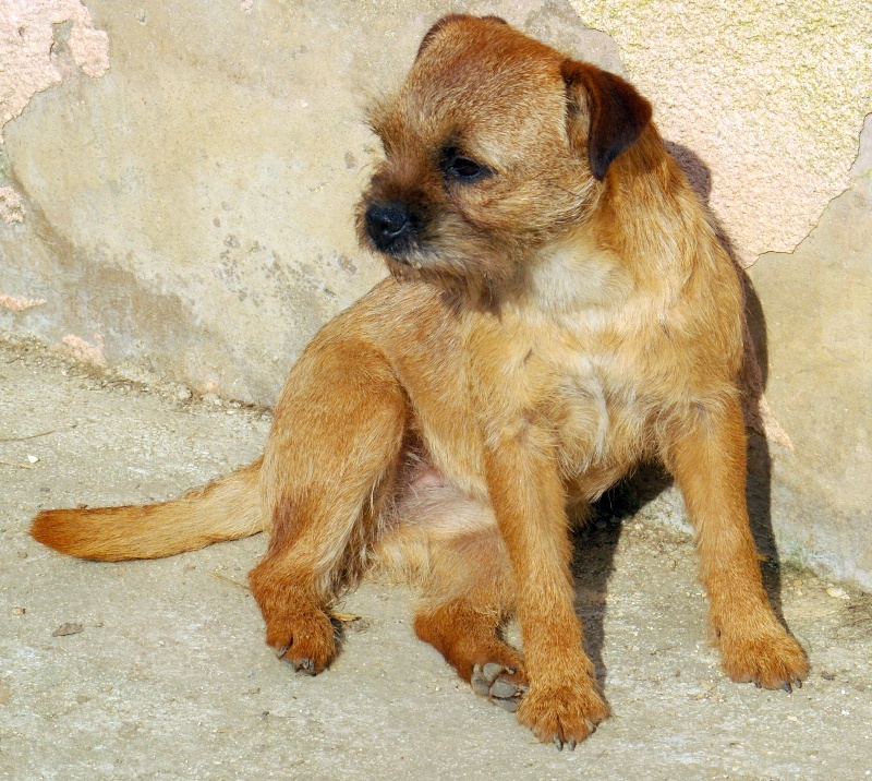 Graine d'astuce Des petites nouches