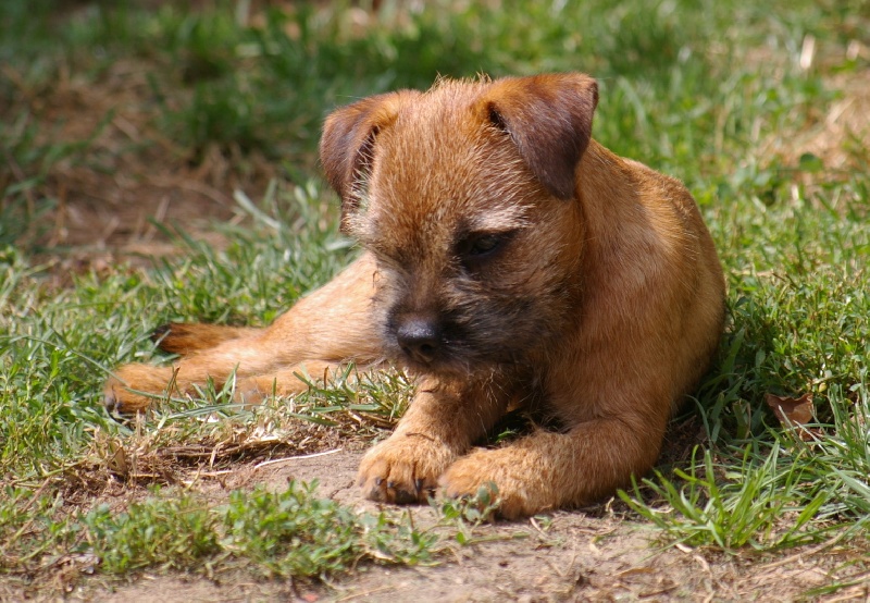 Graine d'astuce Des petites nouches