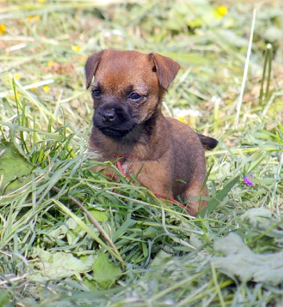 Graine d'astuce Des petites nouches